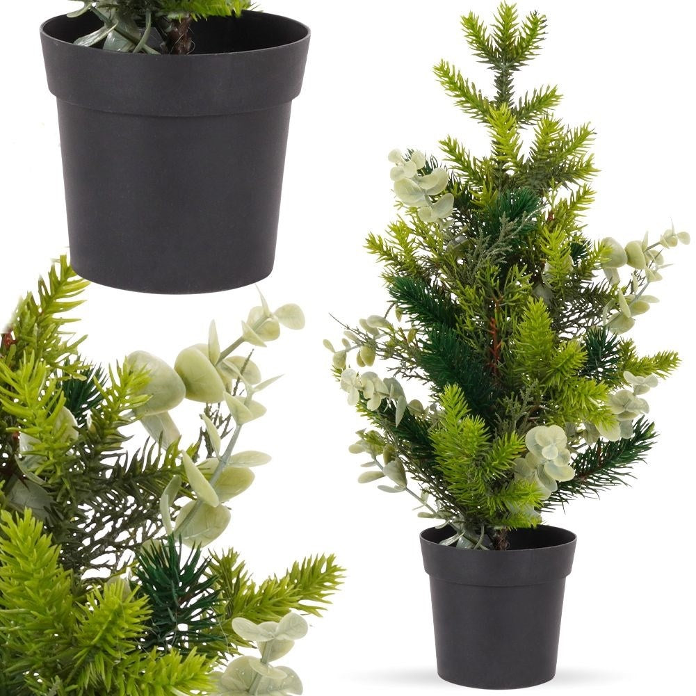 Eucalyptus Christmas Tree in Black Pot - 45 cm High