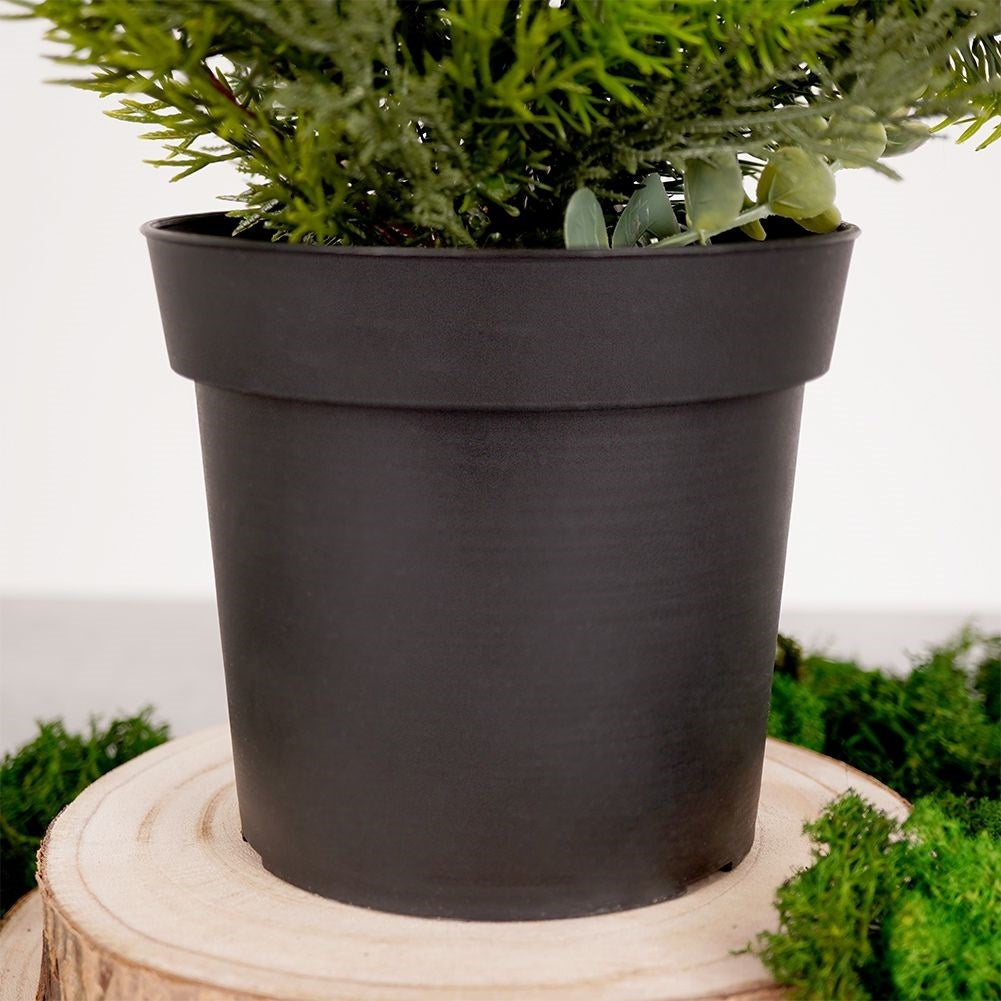 Eucalyptus Christmas Tree in Black Pot - 45 cm High
