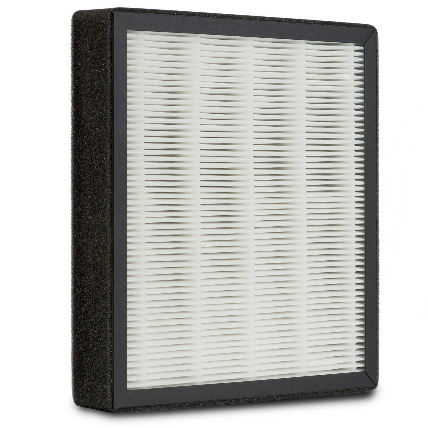 Filter for Hepa 13 purifier - carbon