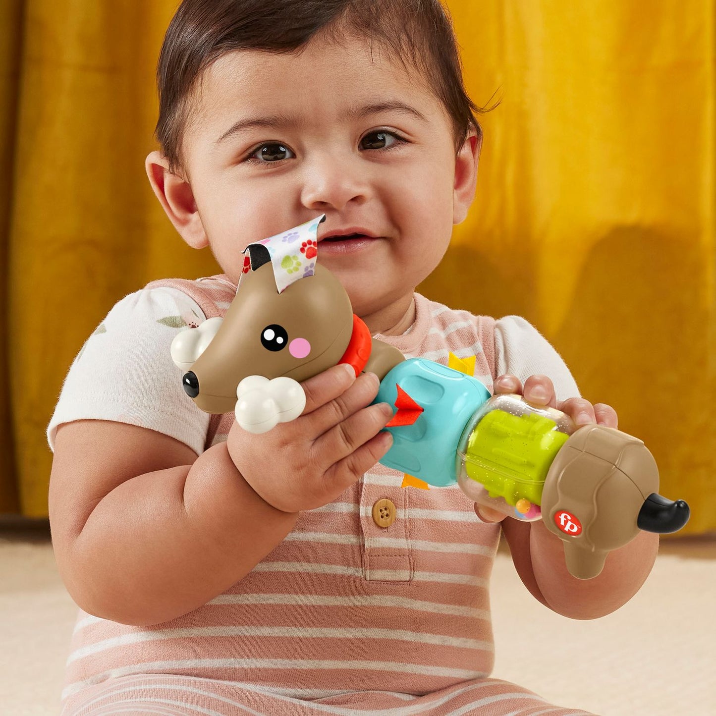 Fisher-Price Click And Spin Activity Pup