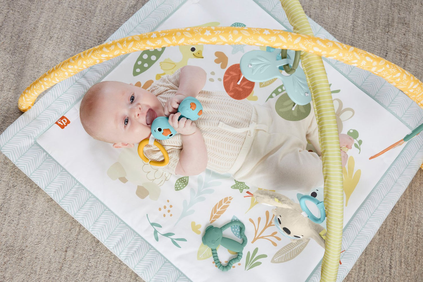 Fisher-Price Sensimals Newborn Gym