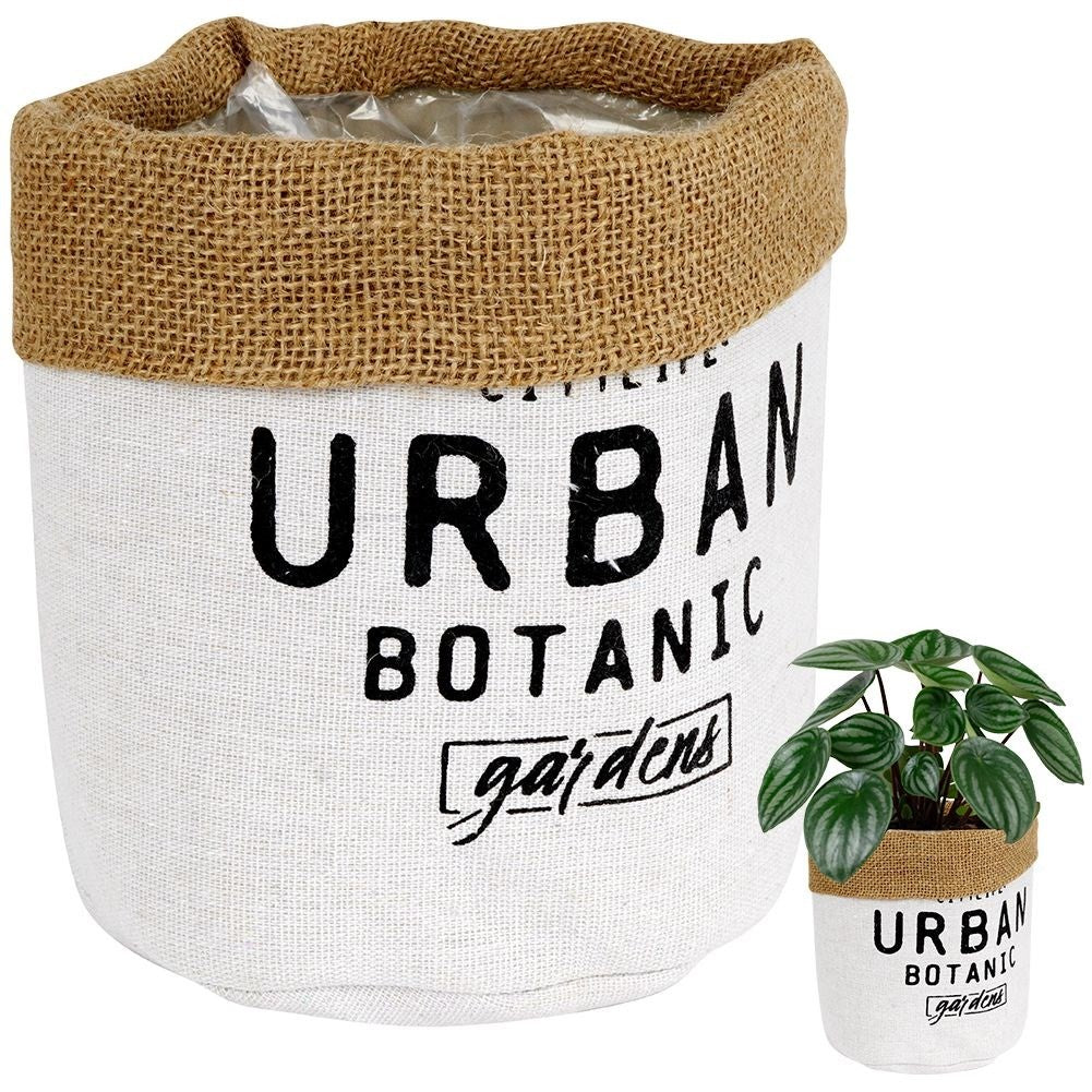 Flower pot with foil protection - Boho style, leak proof