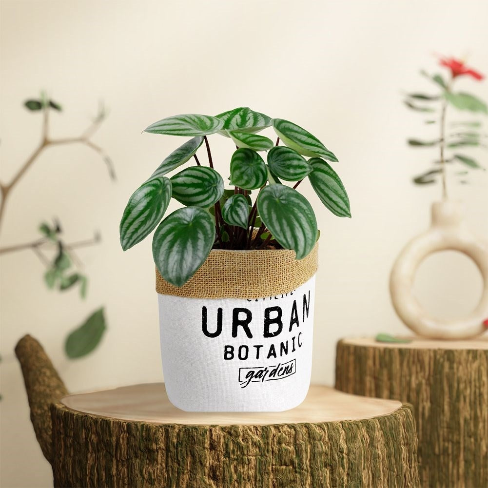 Flower pot with foil protection - Boho style, leak proof