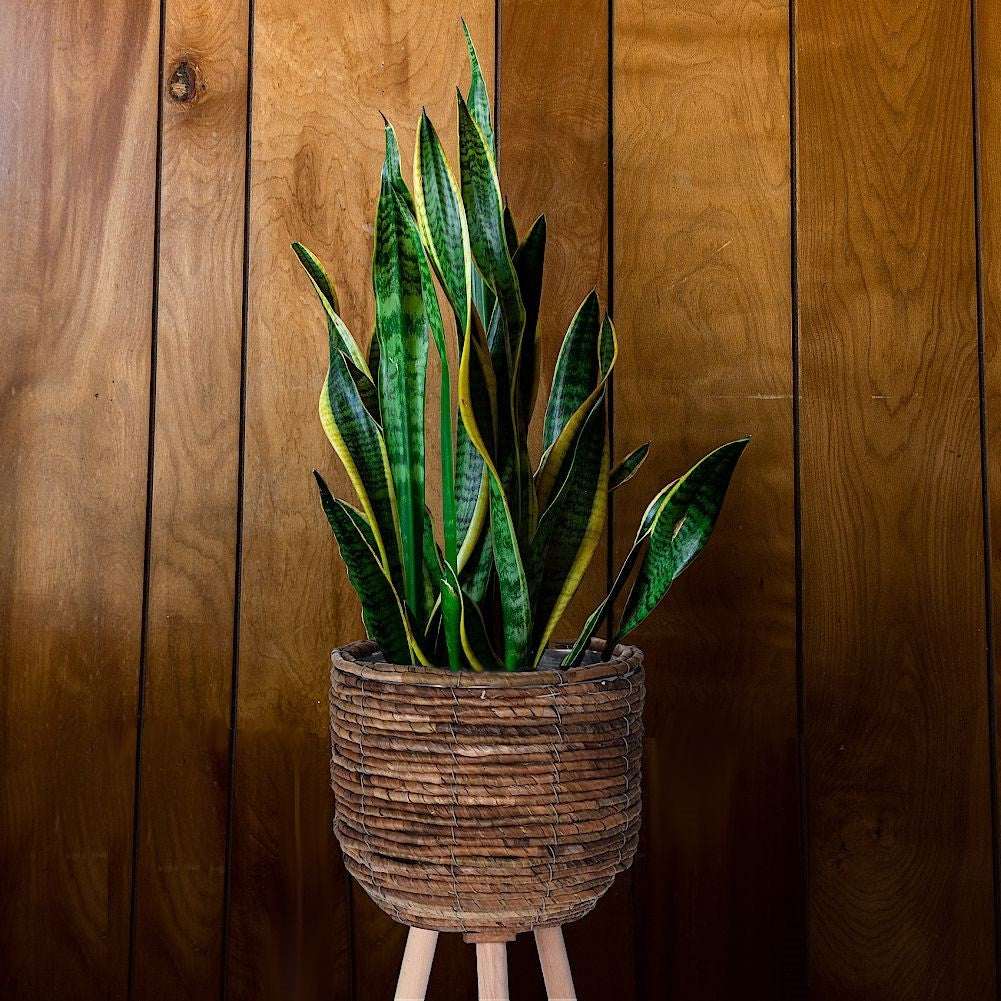 Flower pot with wooden legs and natural materials