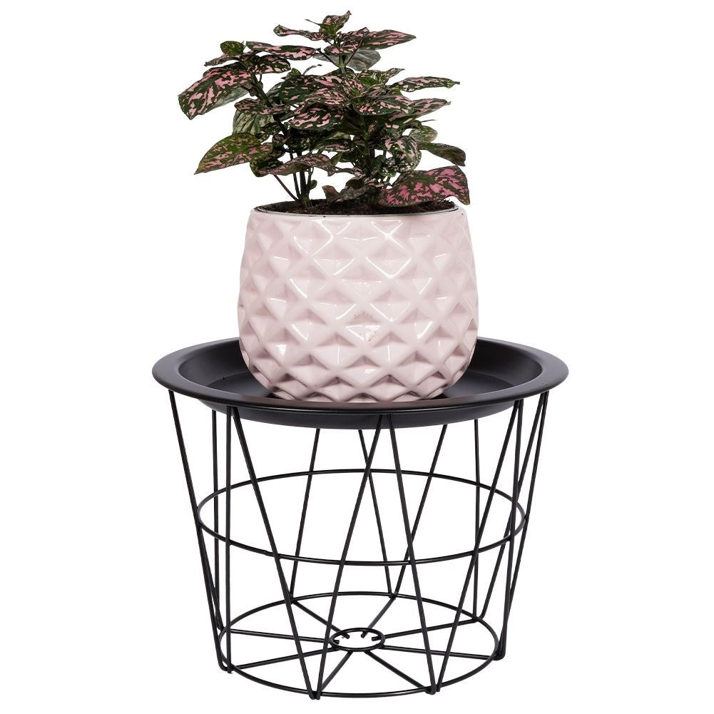 Flower stand with removable tray in industrial loft style