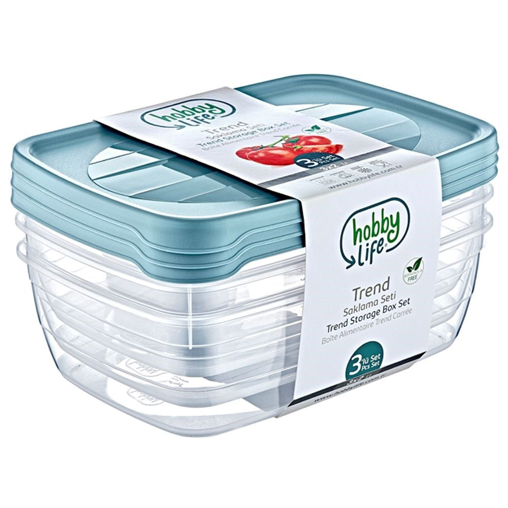 Food containers with lid 2 l 3 pcs.