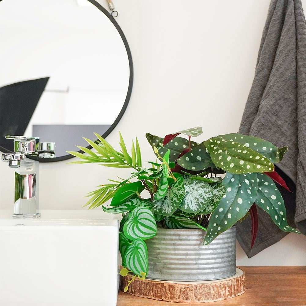 Four realistic artificial plants in pots without care