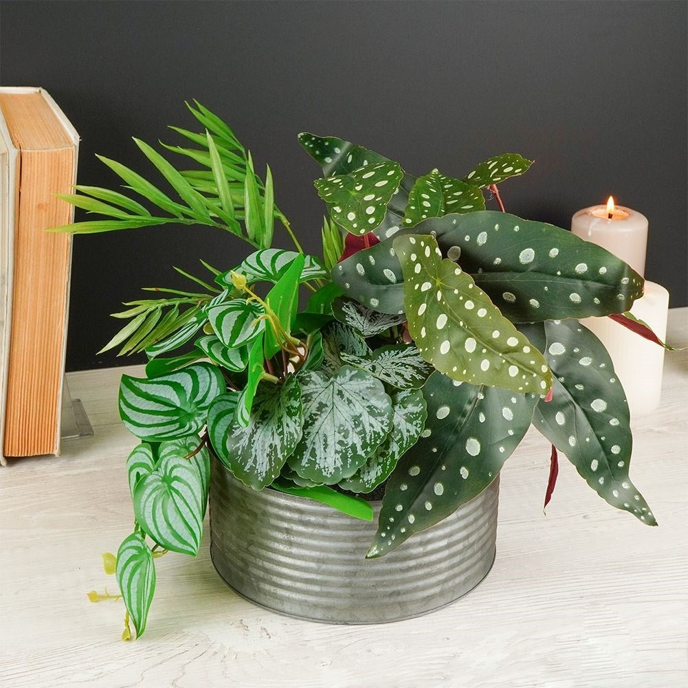 Four realistic artificial plants in pots without care