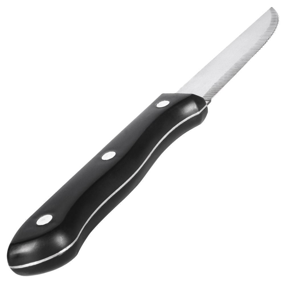 Four steak knives with serrated blades and comfortable handles