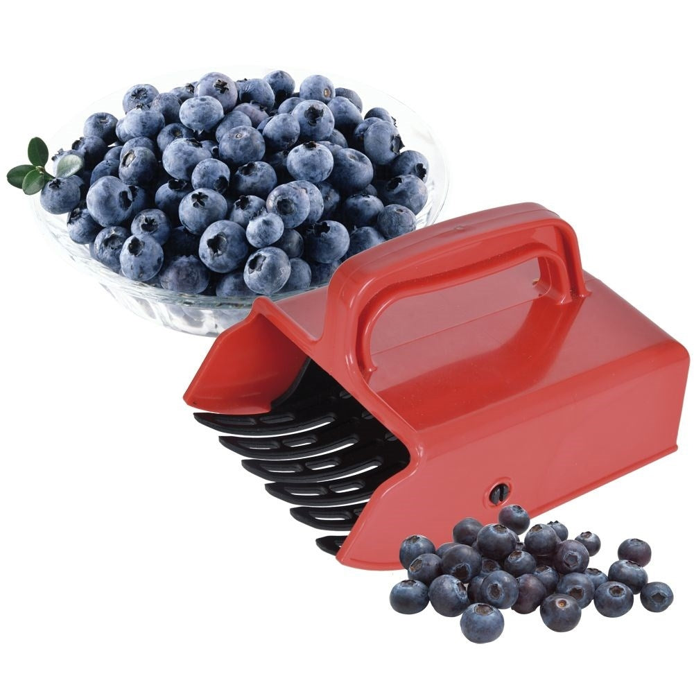 Fruit picker for blueberries, currants and aronia - easy to use