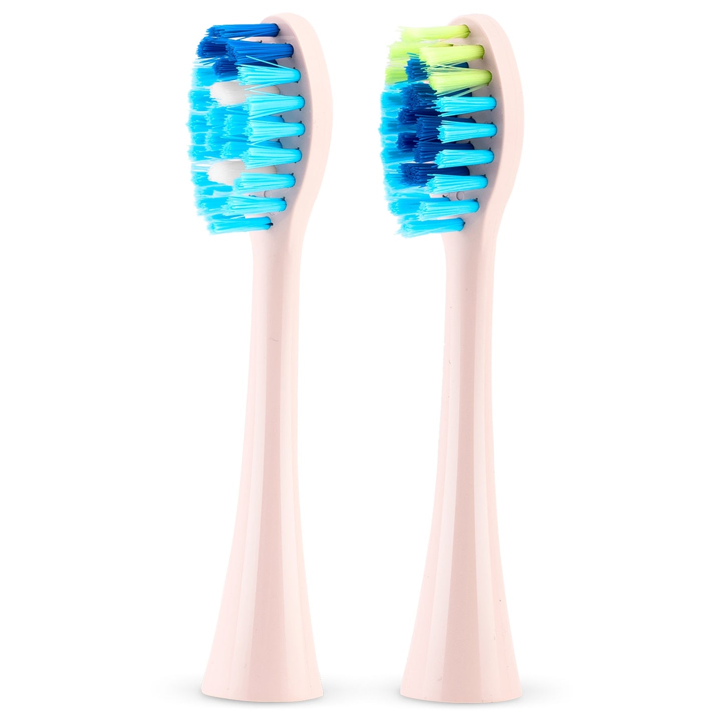 Galaxy Berdsen sonic toothbrush heads, 2 pcs