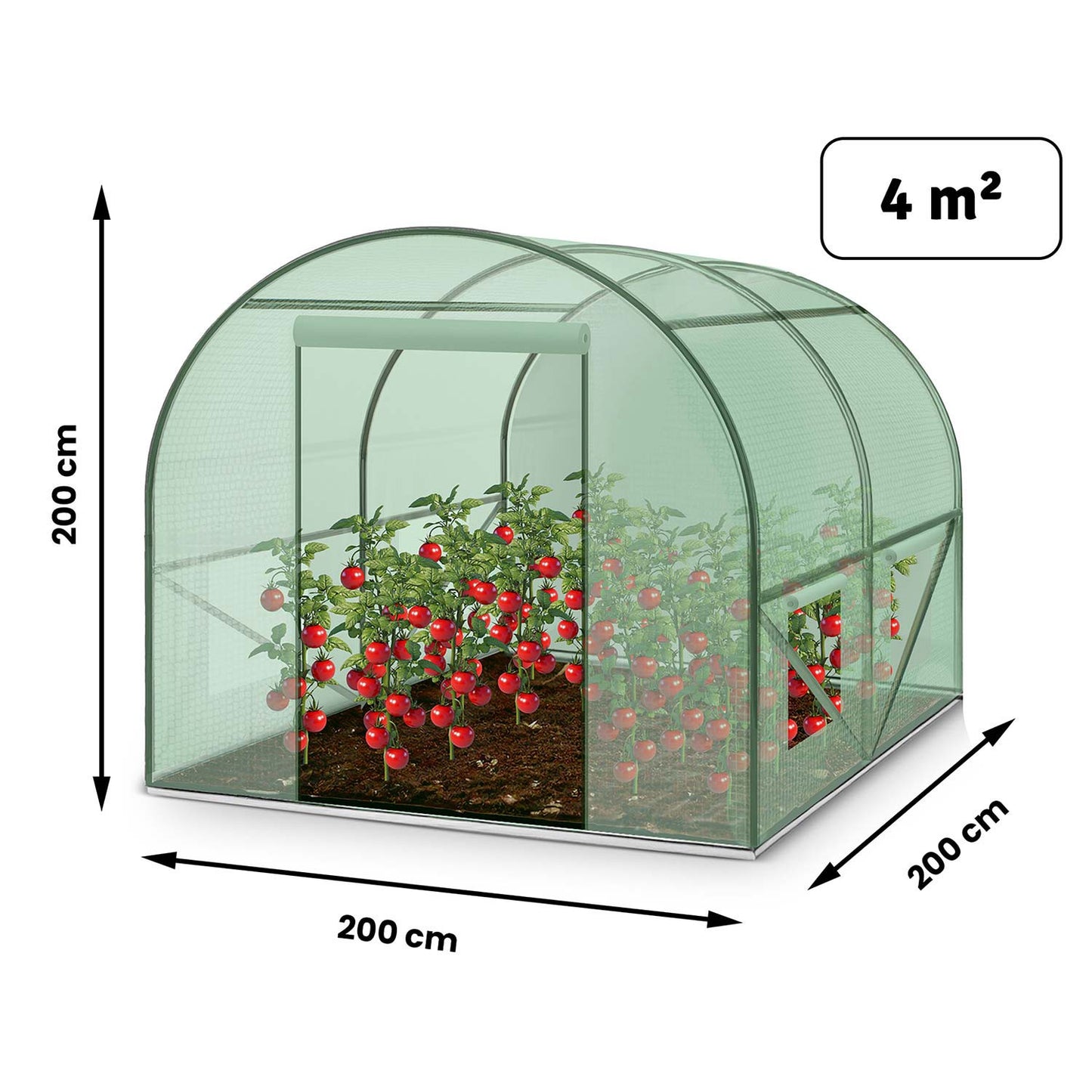 Garden Tunnel Greenhouse 2x2m with 4 Windows