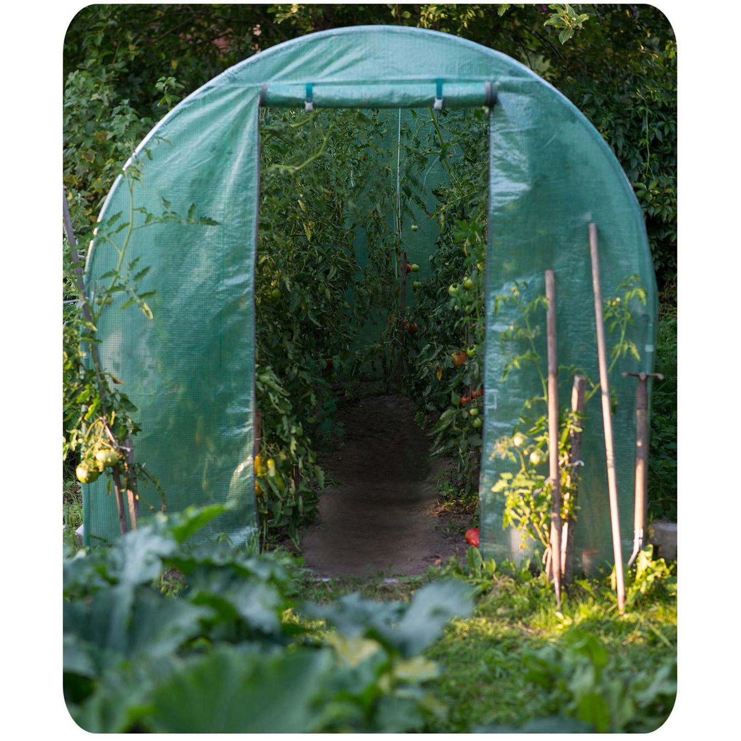 Garden Tunnel Greenhouse 3x2m, Steel Frame, 6 Windows