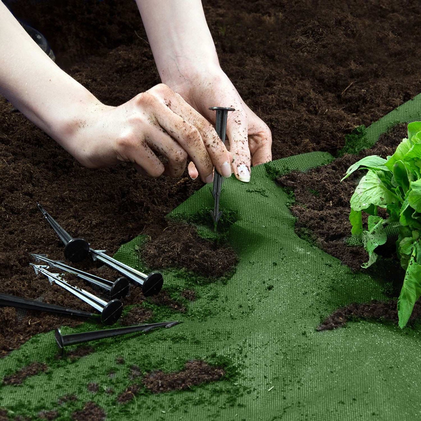 Garden agrotextile 1.6 m x 100 m + 100 Plonos pins - green