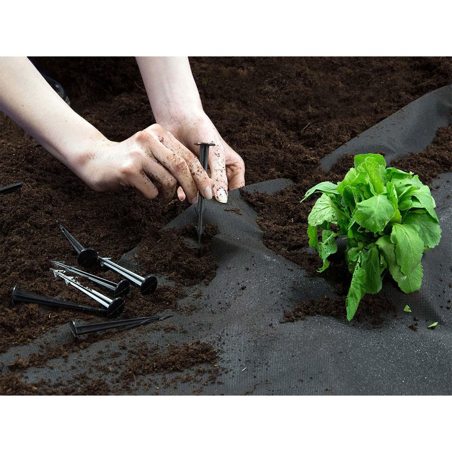 Garden agrotextile 1.6 m x 100 m 90 g/m2 + 100 Plonos pins - black