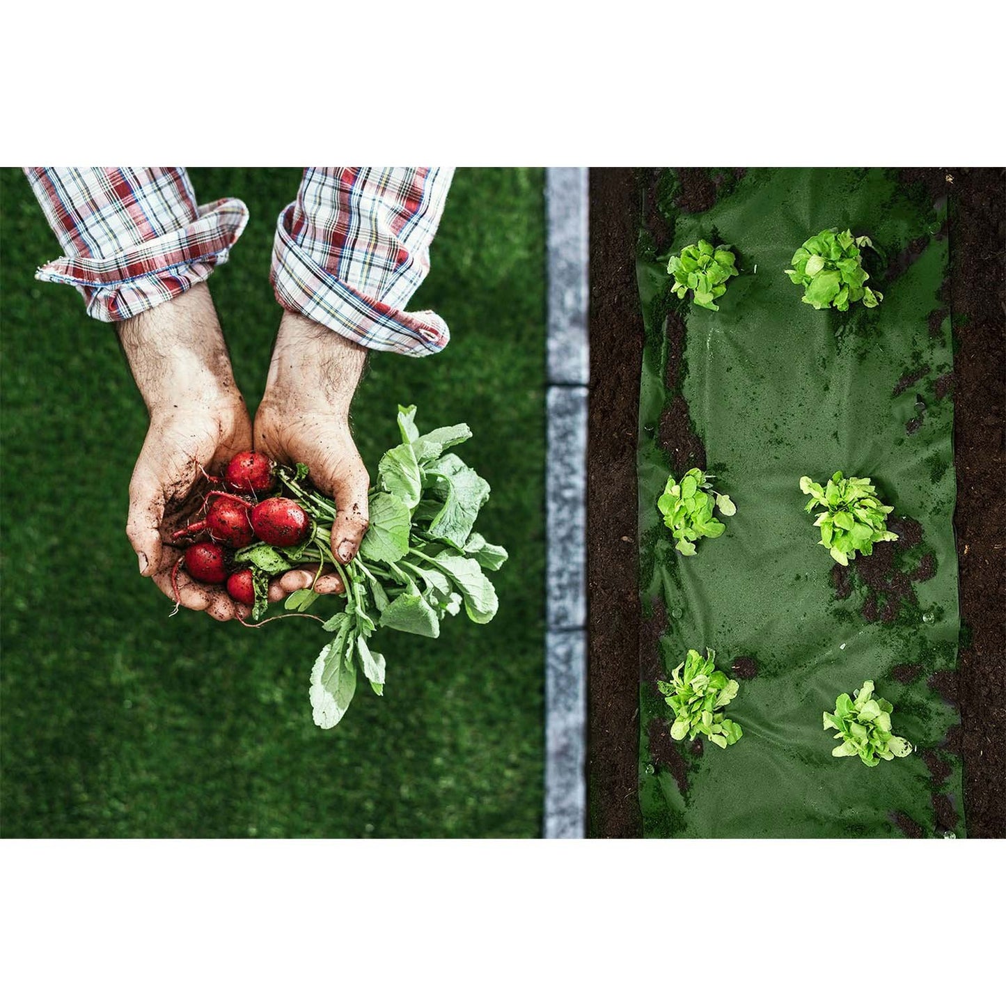 Garden agrotextile 1.6 m x 100 m 90 g/m2 + 100 Plonos pins - black and green