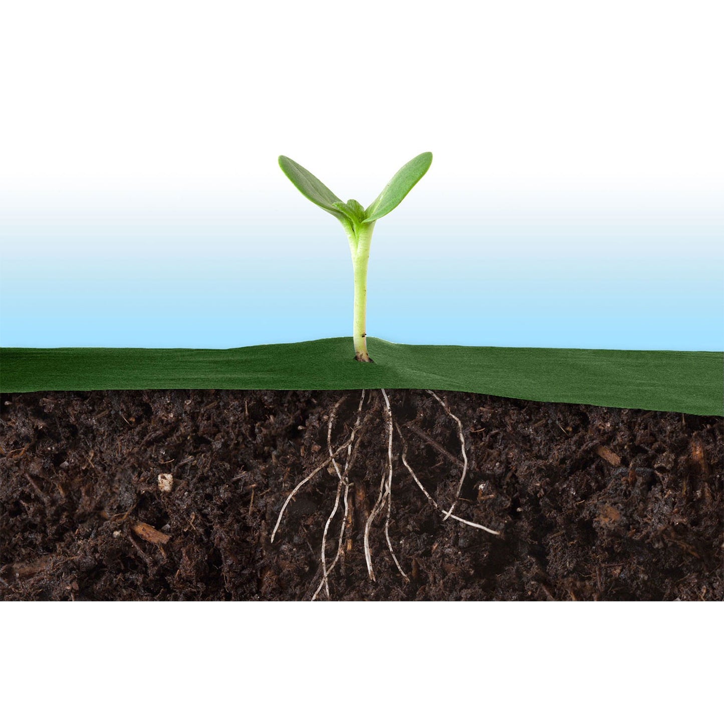 Garden agrotextile 1.6 m x 100 m 90 g/m2 + 100 Plonos pins - green