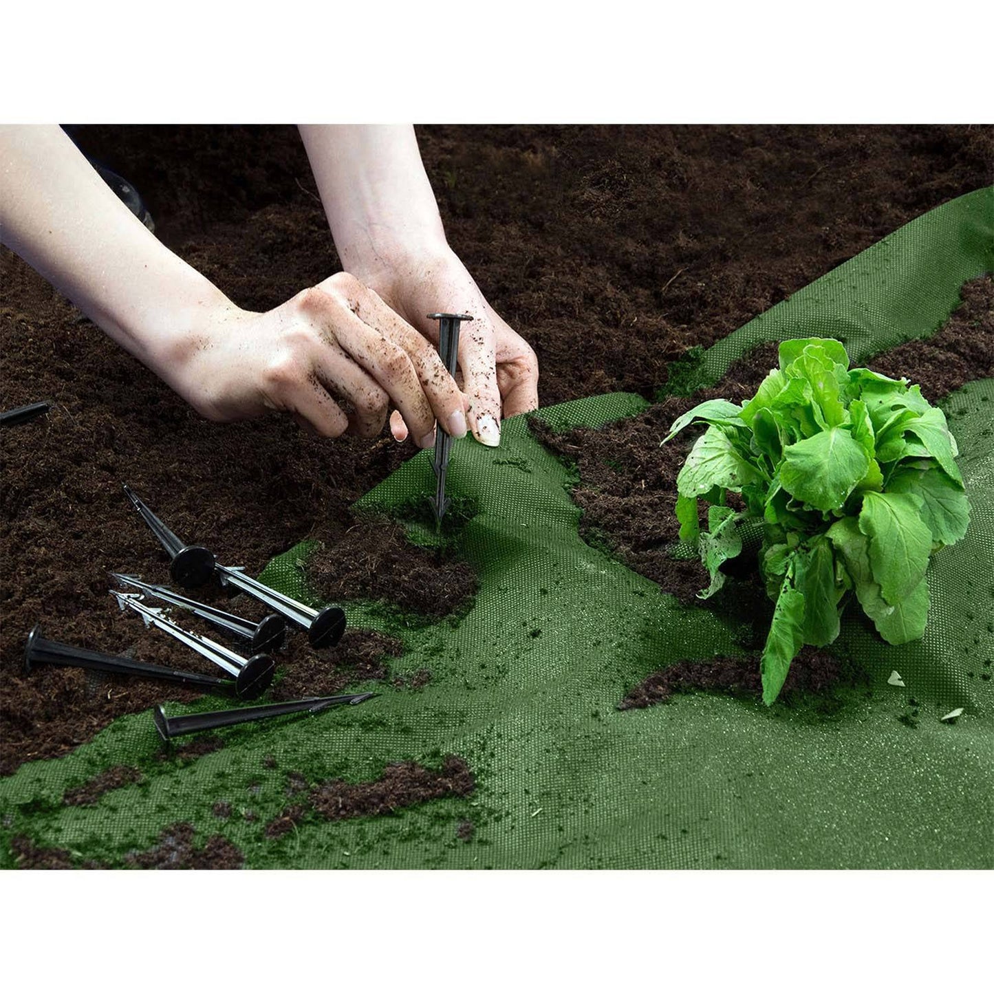Garden agrotextile 1.6 m x 100 m 90 g/m2 + 100 Plonos pins - green