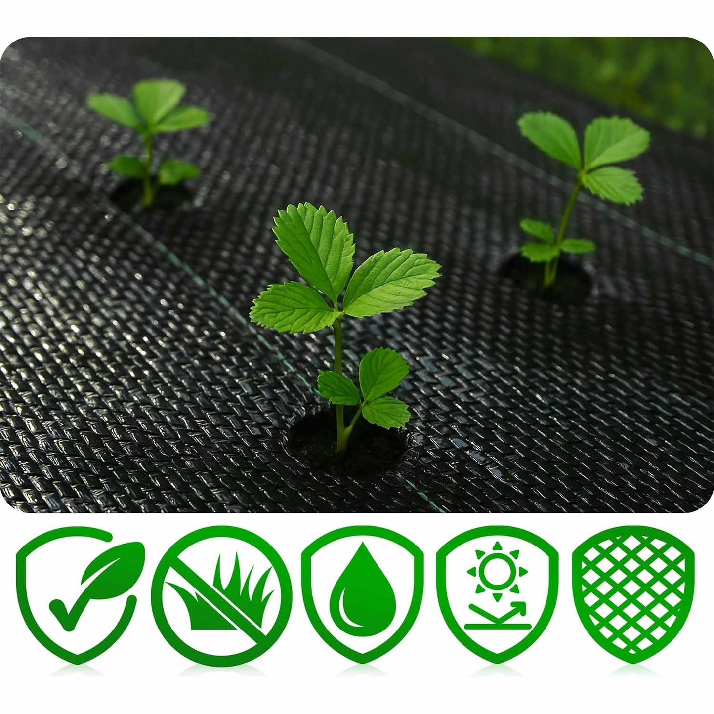 Garden agrotextile 1.6 m x 50 m 90 g/m2 + 50 Plonos pins - black