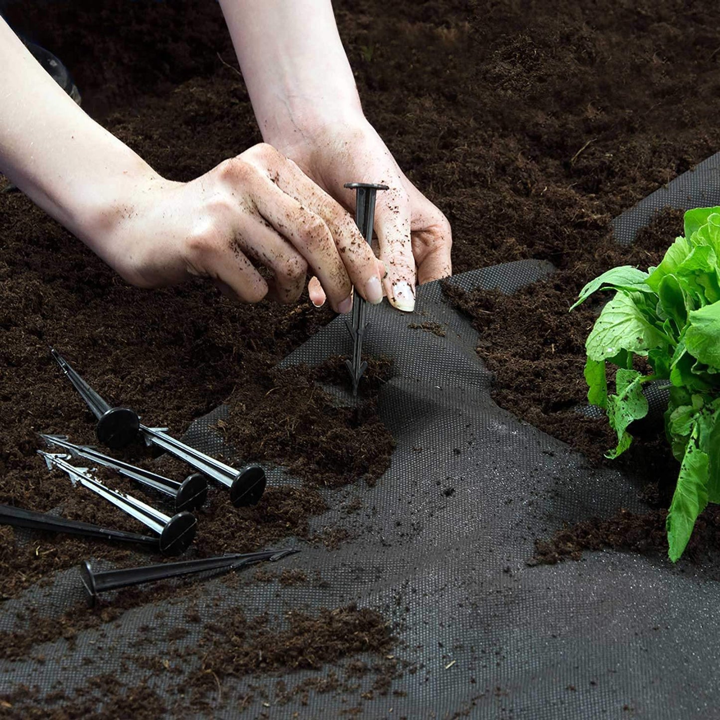 Garden cloth 1 m x 75 m + 100 sticks Plonos - black