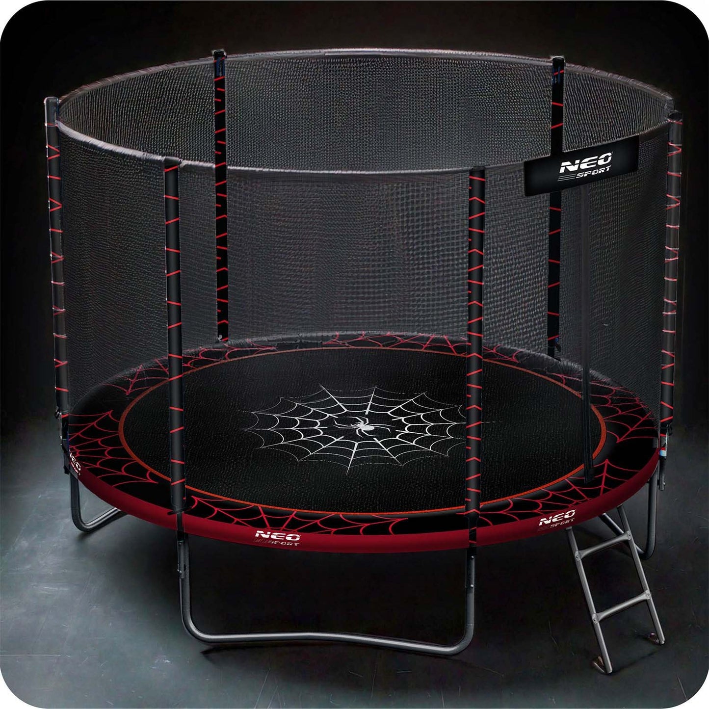 Garden trampoline 10ft/312cm with outdoor net and ladder Neo-Sport