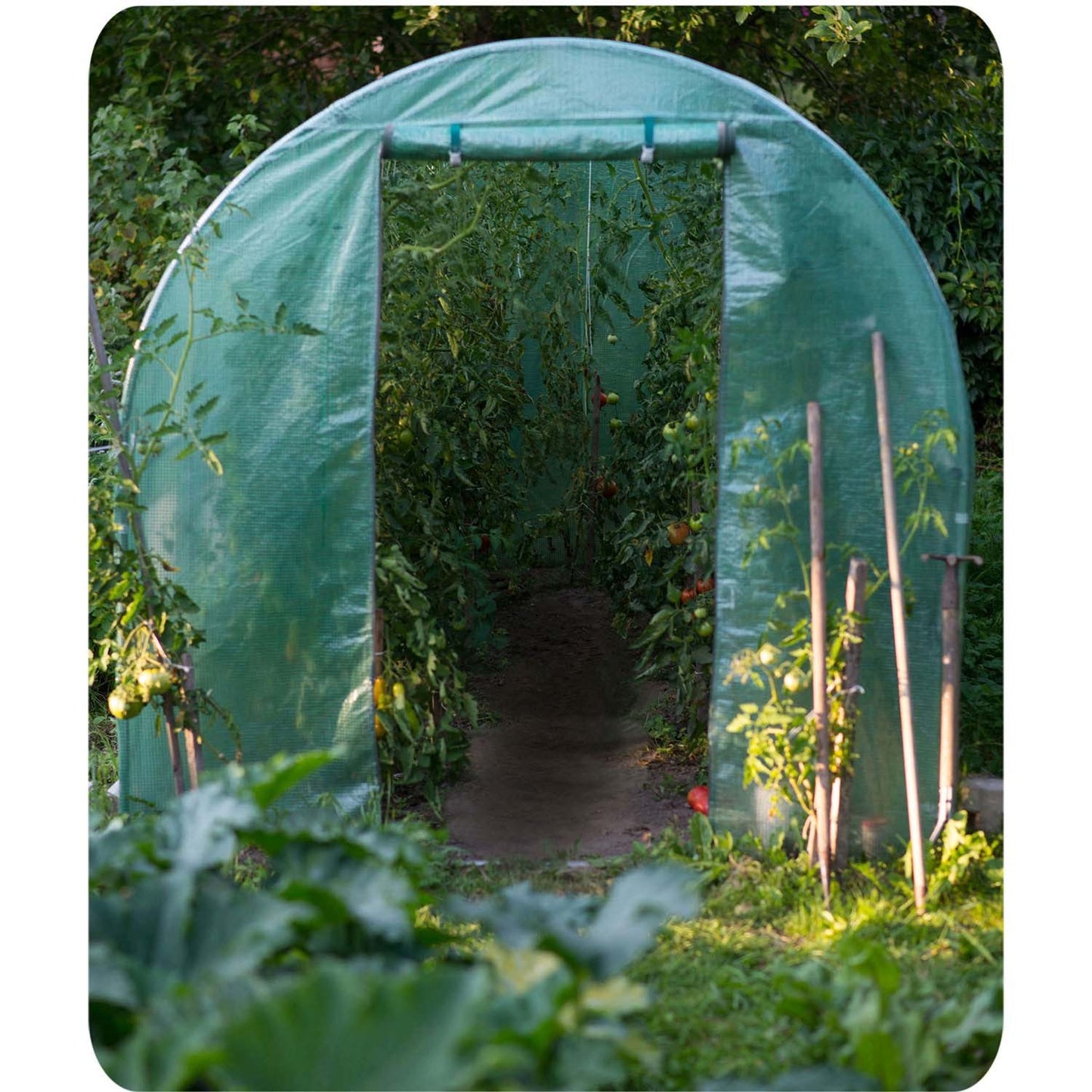 Garden tunnel 3 x 6 m (18 m2) Plonos