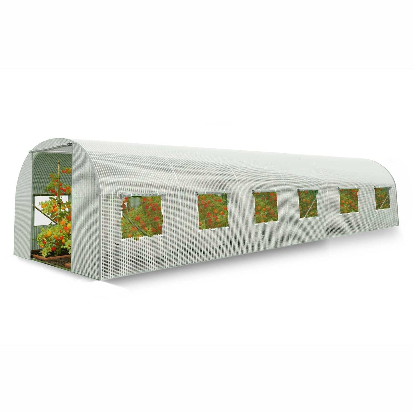 Garden tunnel 3x6m (18m2) white Plonos
