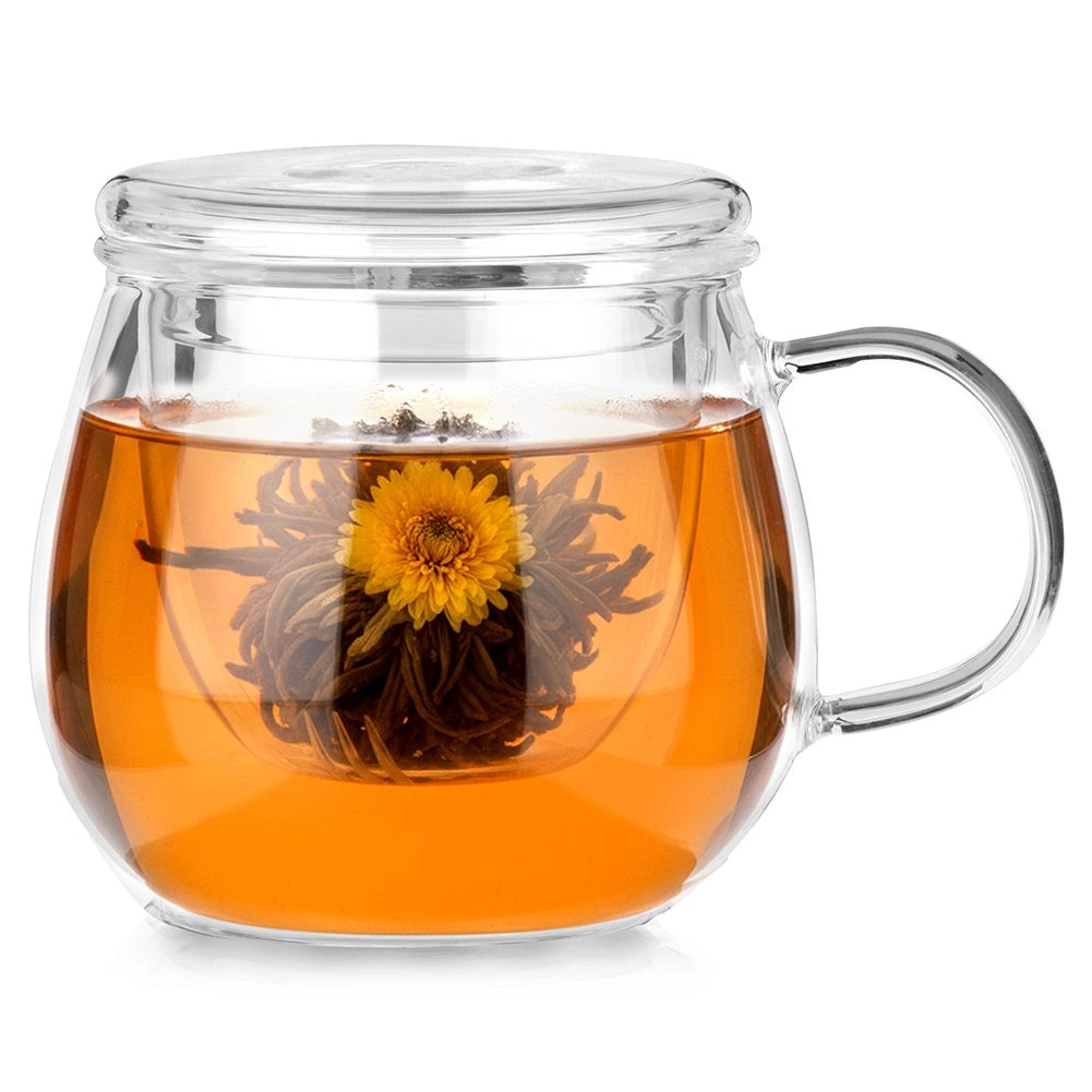 Glass Tea Mug with Infuser and Lid, 400 ml