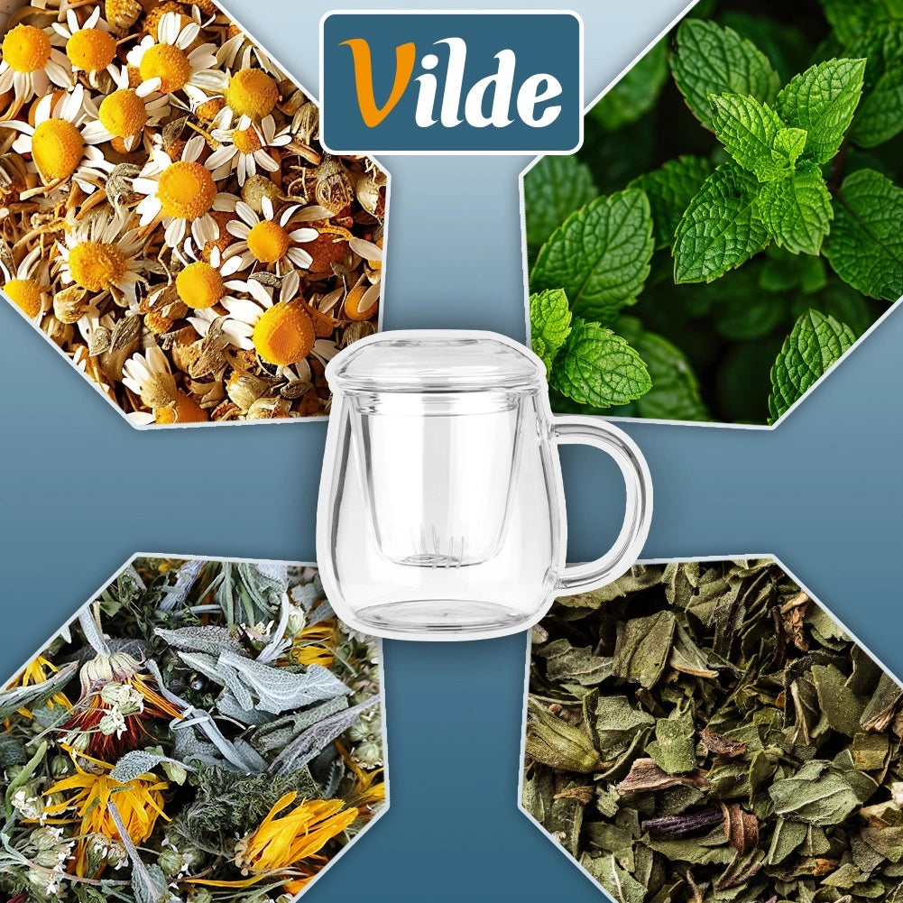 Glass Tea Mug with Infuser and Lid, 400 ml