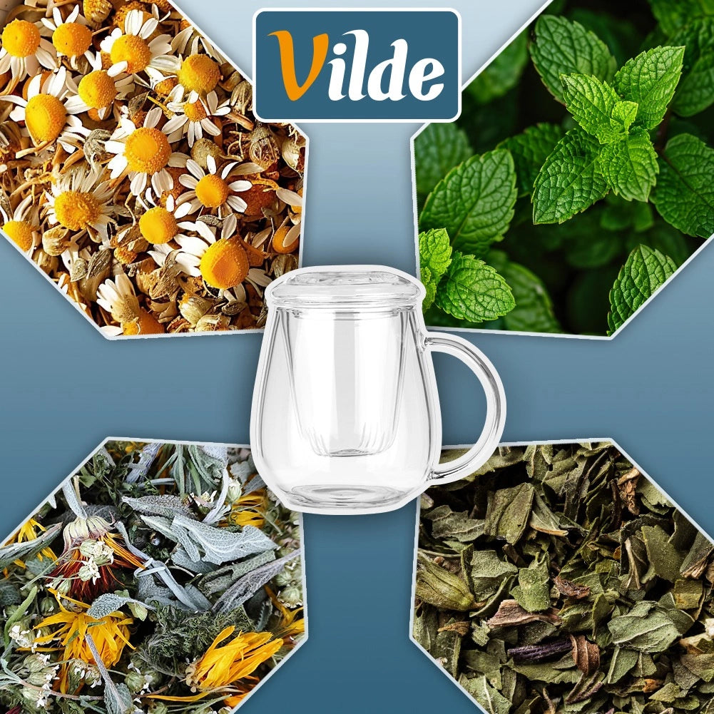 Glass Tea Mug with Infuser and Lid, 530 ml