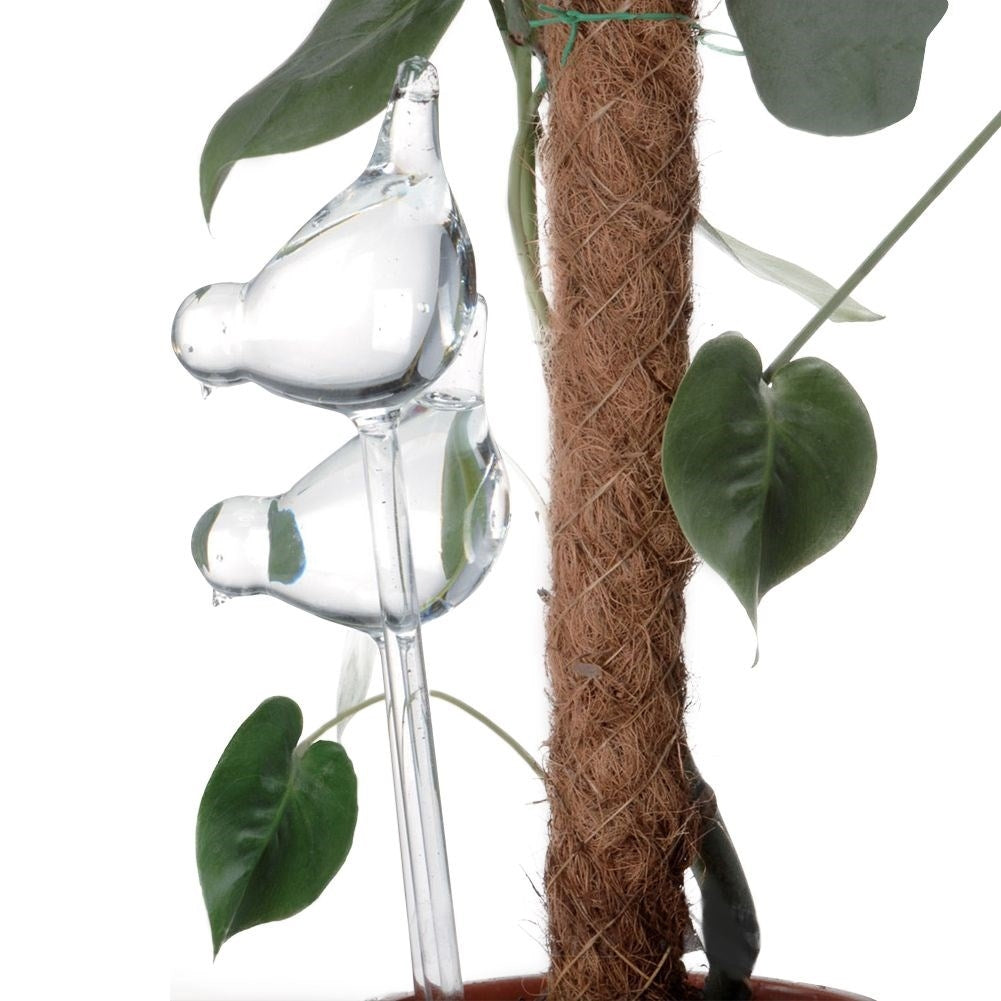 Glass balls for watering potted plants - Bird shaped
