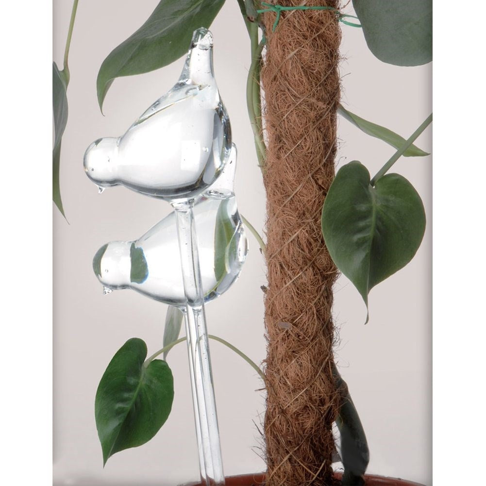 Glass balls for watering potted plants - Bird shaped