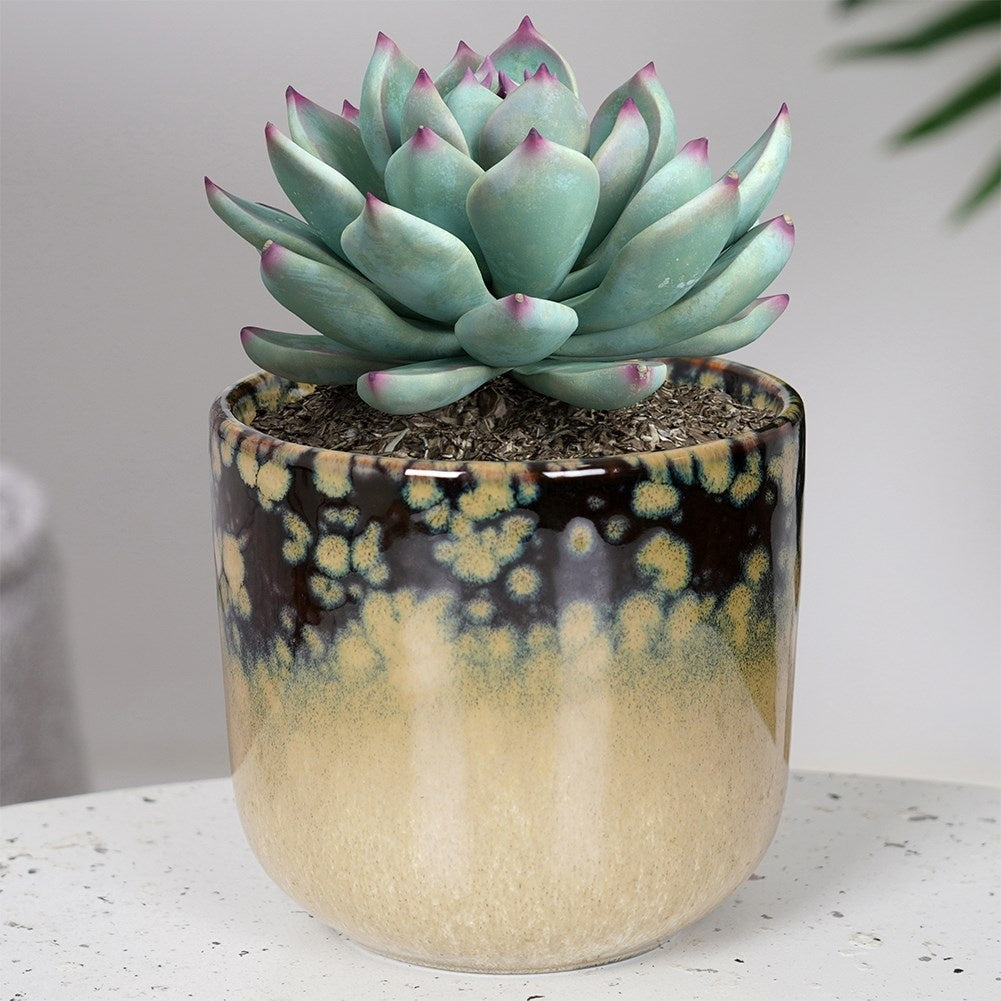 Glazed porcelain pot for elegant indoor plant design