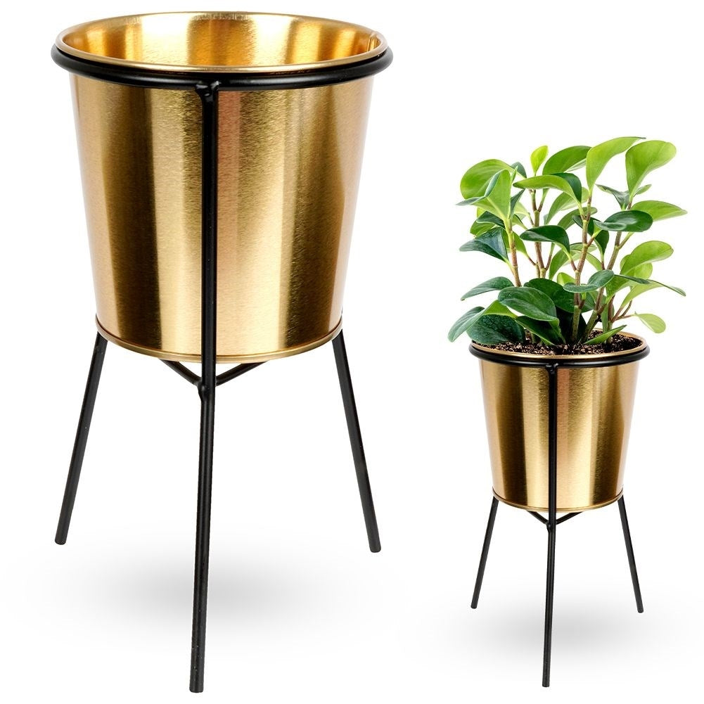Gold flower pot with black metal stand for plants