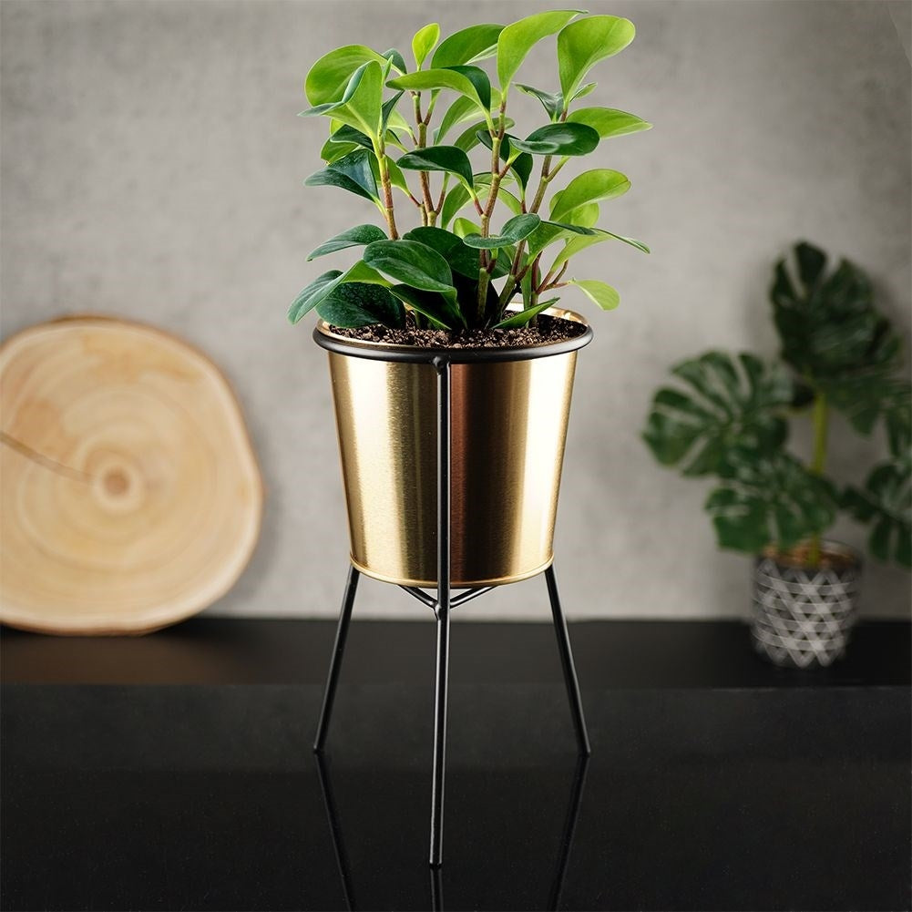 Gold flower pot with black metal stand for plants