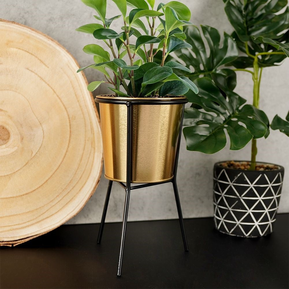 Gold flower pot with black metal stand for plants