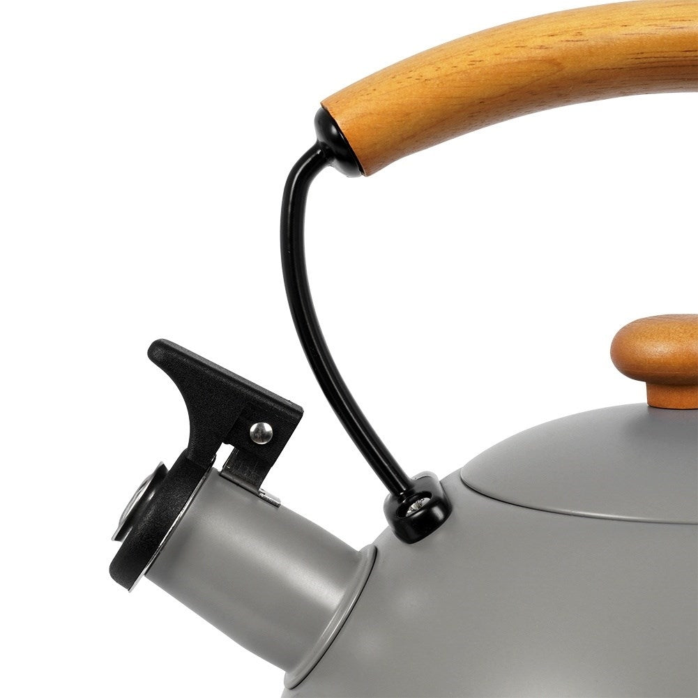 Gray Kettle with Tilting Whistle in Stainless Steel