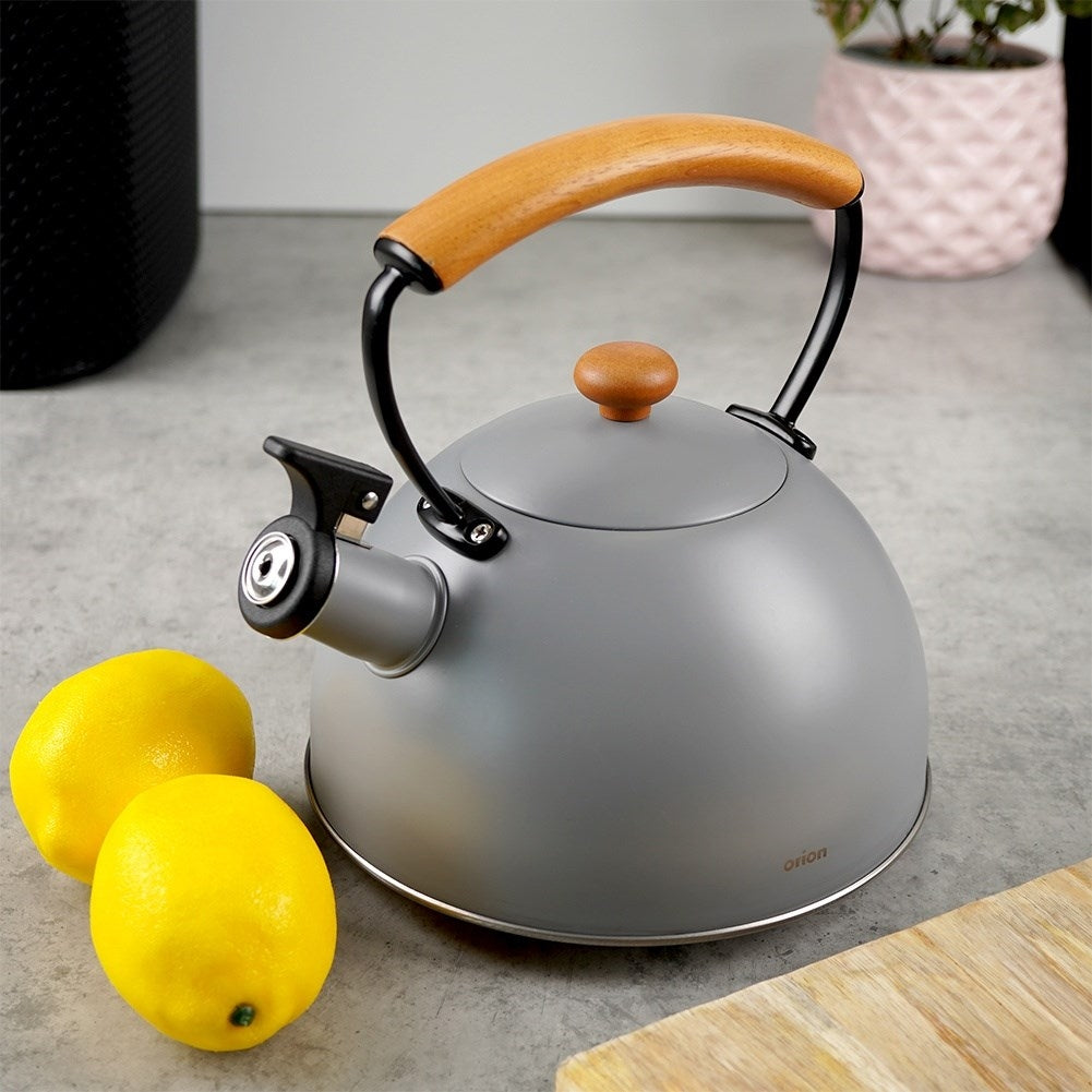 Gray Kettle with Tilting Whistle in Stainless Steel