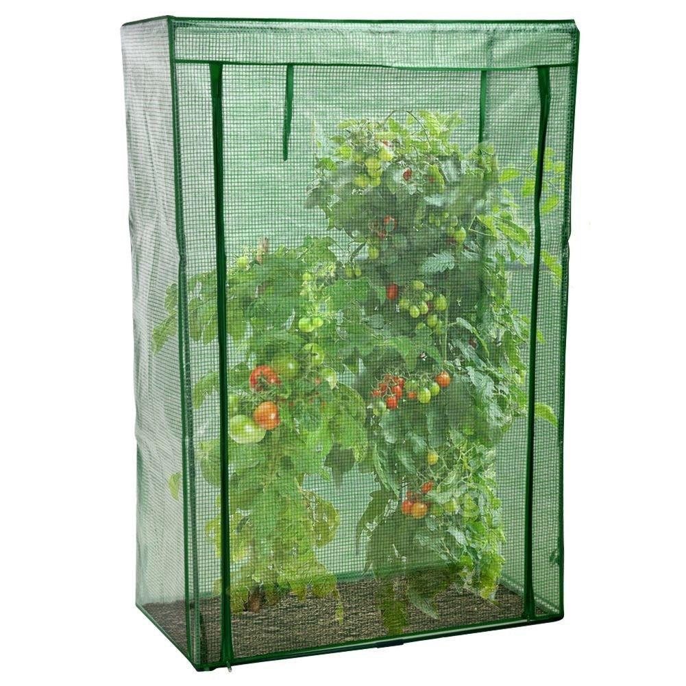 Greenhouse for tomatoes and cucumbers, stable and easy to assemble