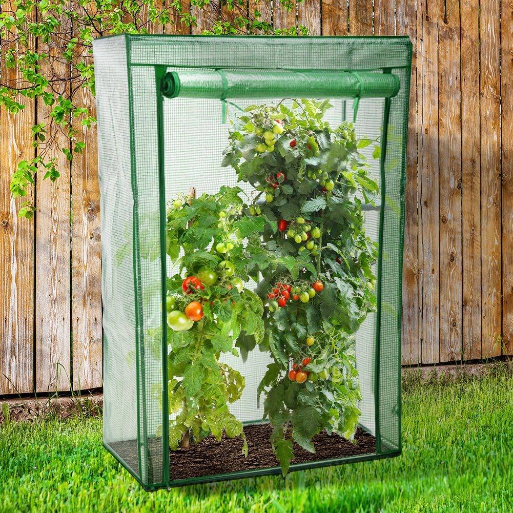 Greenhouse for tomatoes and cucumbers, stable and easy to assemble