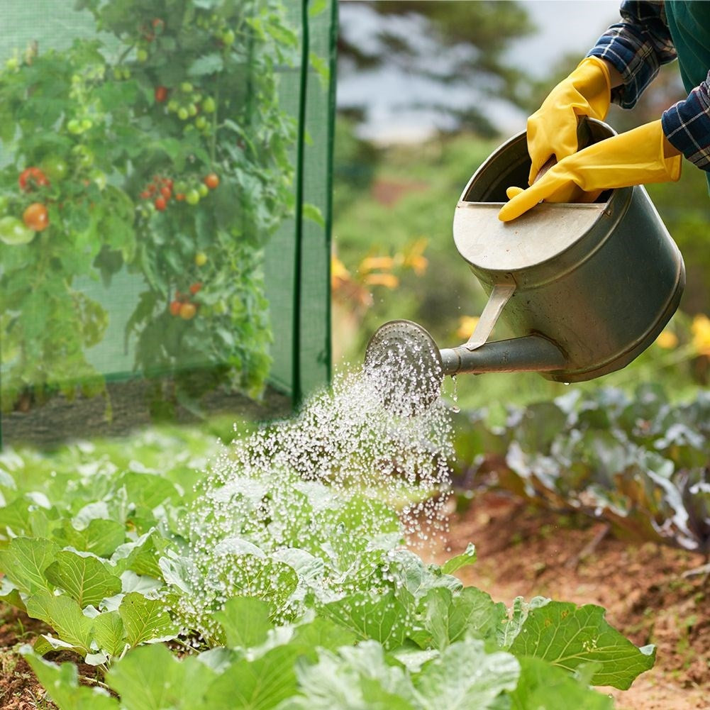 Greenhouse for tomatoes and cucumbers, stable and easy to assemble