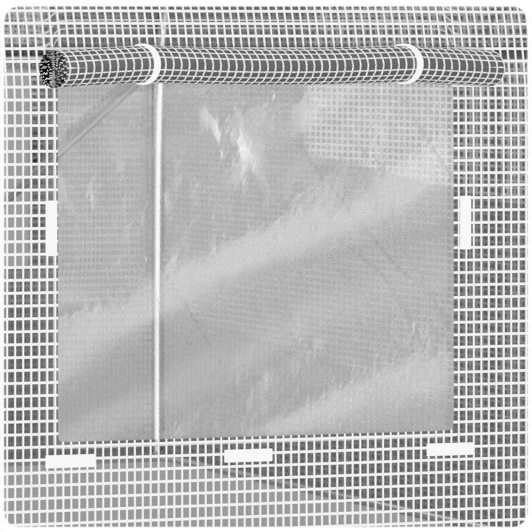 Greenhouse tunnel Foil 2x3m (6m²) White Plonos