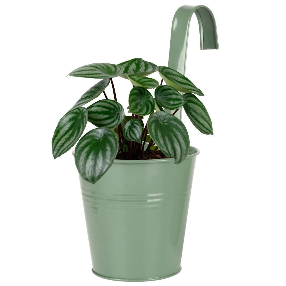 Green metal pot with handle for balcony or terrace