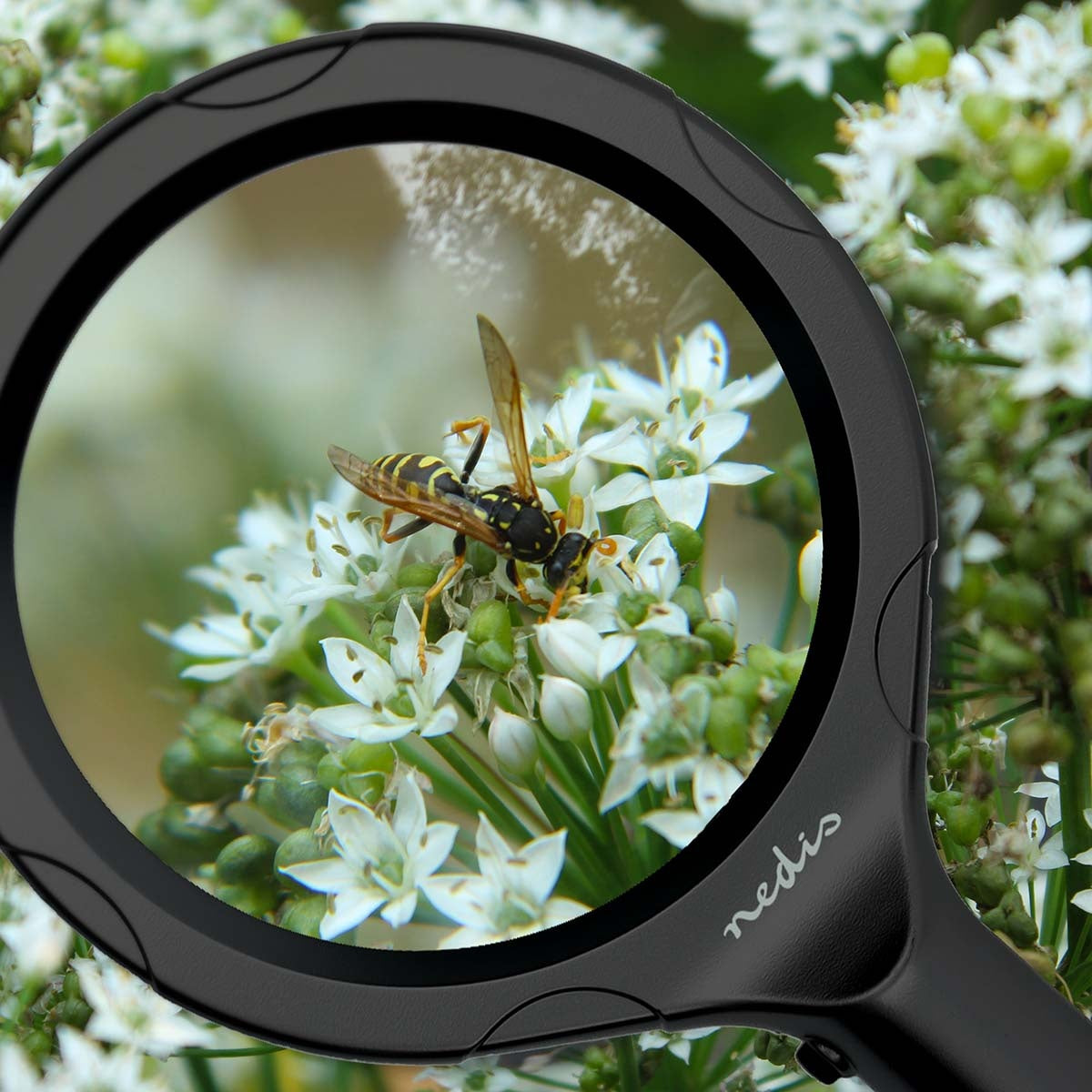 Handheld Magnifier, 4 Diopter Lens, Black