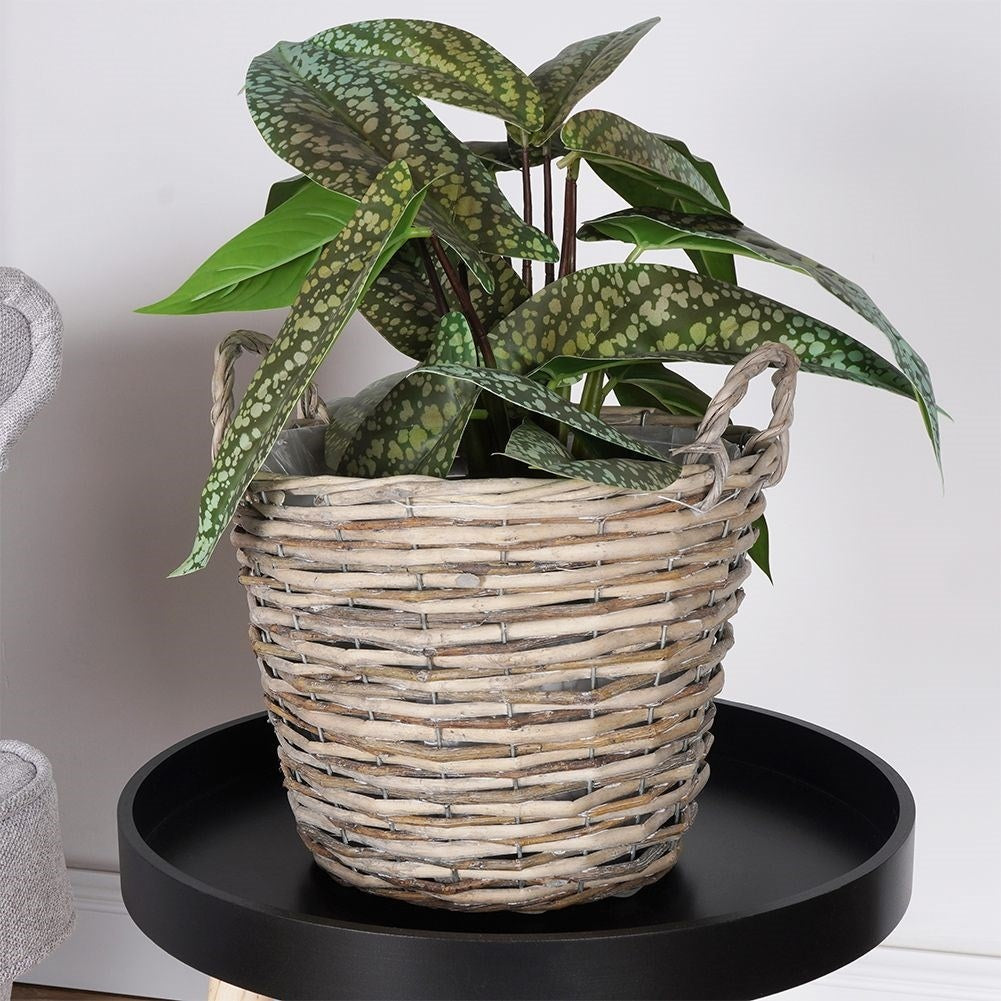 Handmade plant pot in braided willow with plastic film inside