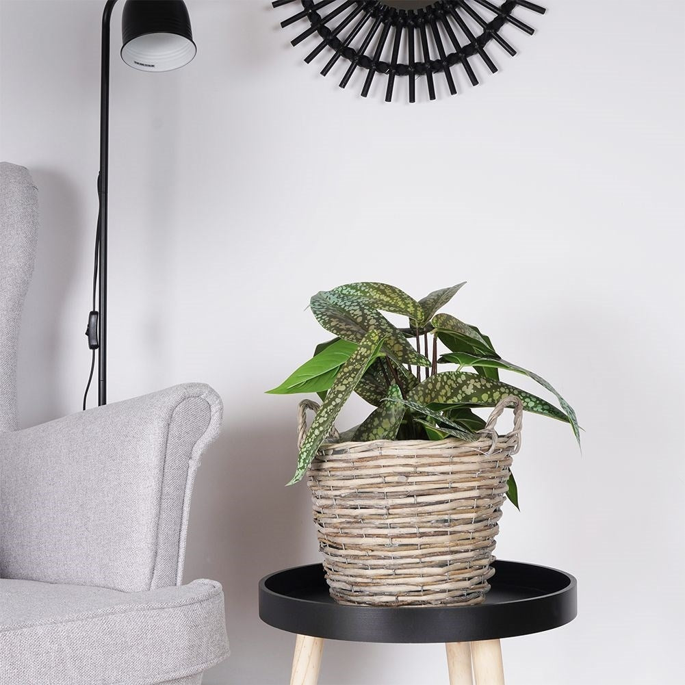 Handmade plant pot in braided willow with plastic film inside