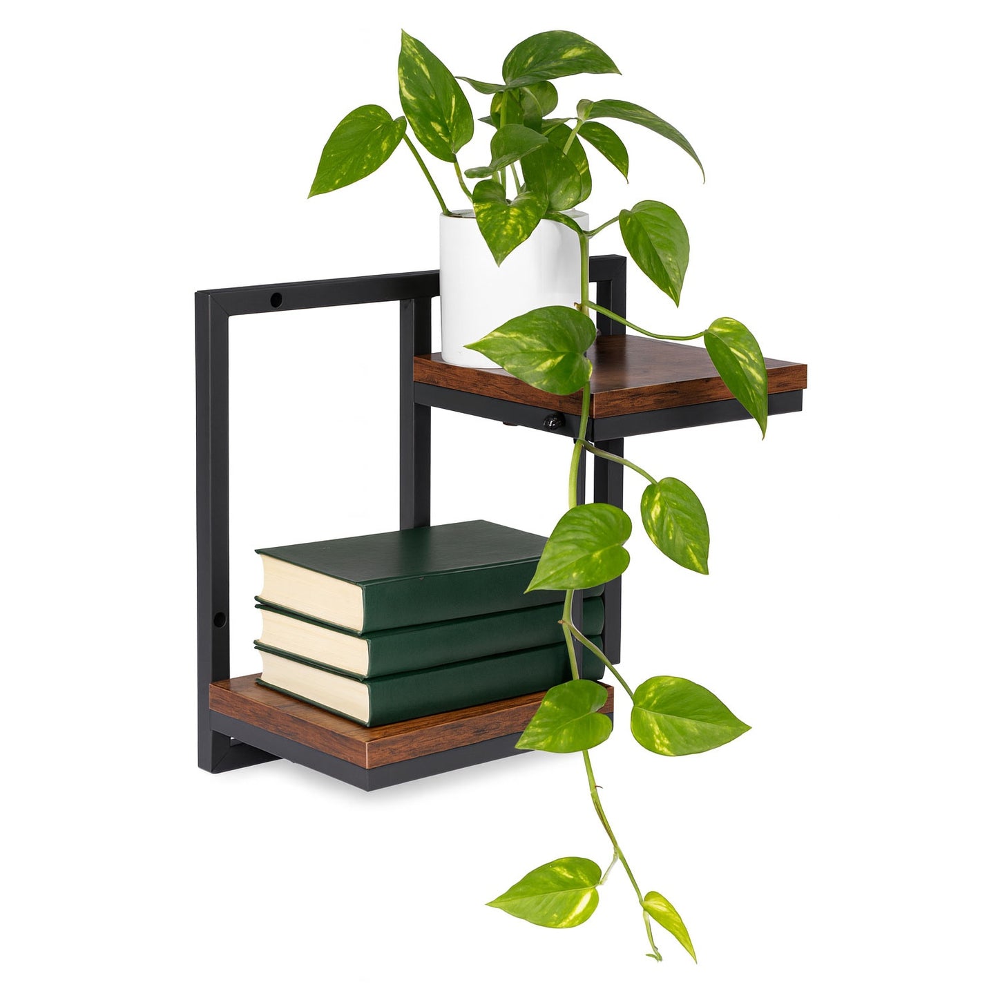 Hanging Plant Shelf – 2-Tier Steel Wall Mount