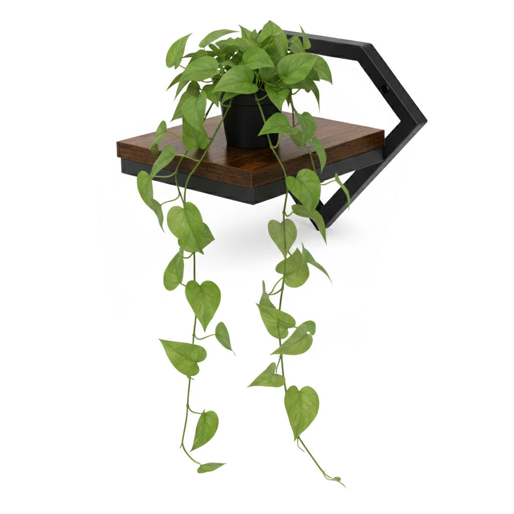 Hanging Plant Shelf, Loft Style, Steel & Chipboard