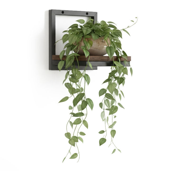 Hanging Plant Shelf – Steel & Chipboard, 5kg Capacity