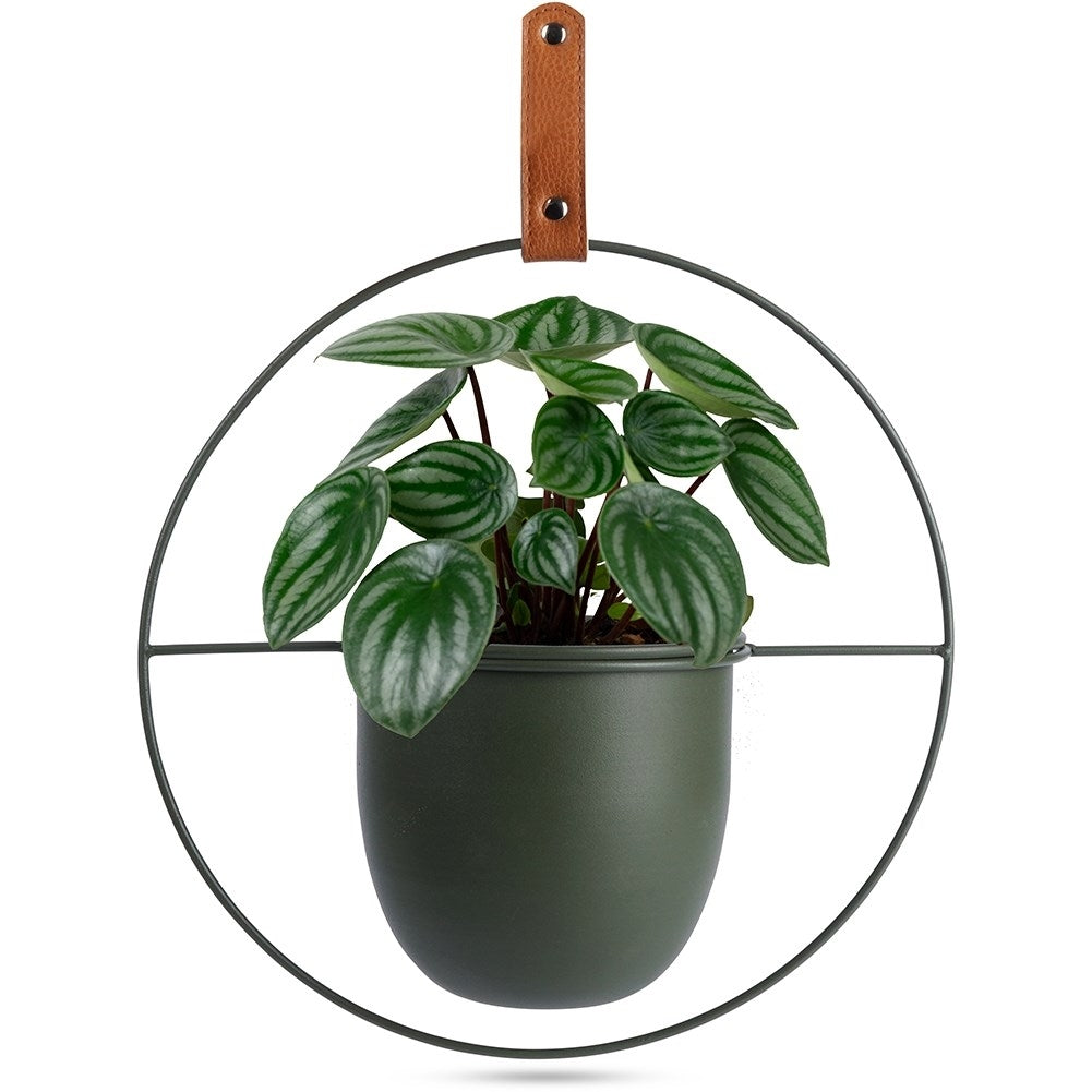 Hanging Pot with Leather Strap
